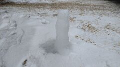 IMG_20240111_092322568.jpg