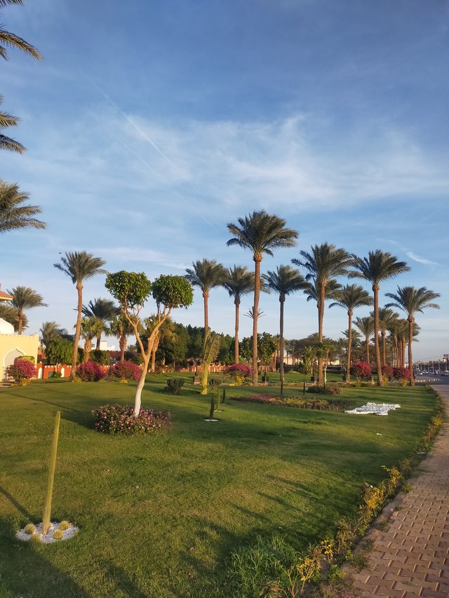 ParaPlonsk