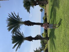 IMG_1774.jpeg