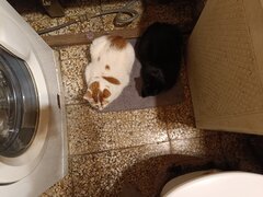 IMG_20231231_210851.jpg