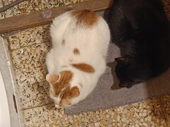 IMG_20231231_210859.jpg