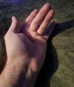 20240113_201819.jpg