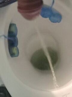 1705256681674.jpg