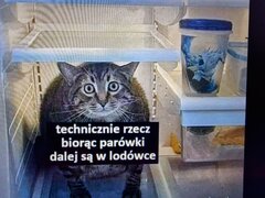 20240115_162055.jpg