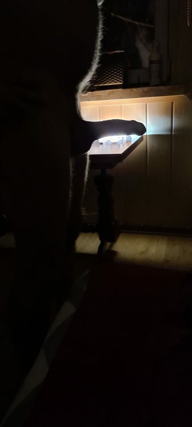 berg40