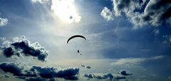 IMG-20230813-WA0013(1).jpg