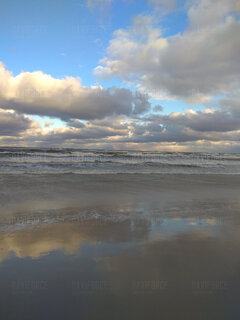 IMG_20240116_092447.jpg