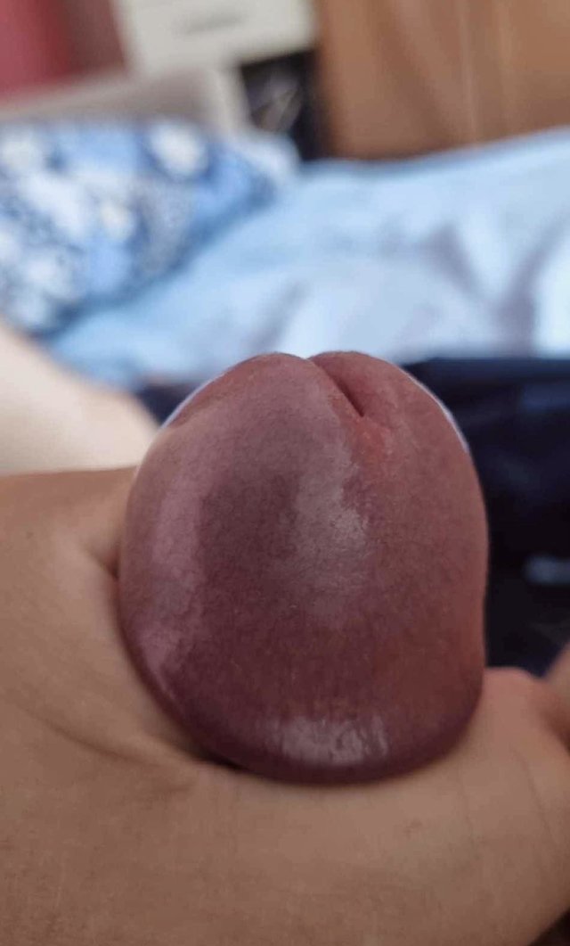 PJ89