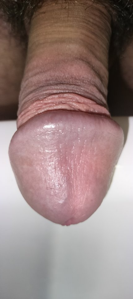 17054642936827751826614568324677.jpg - szatan24