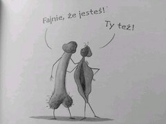 IMG_8058.jpeg