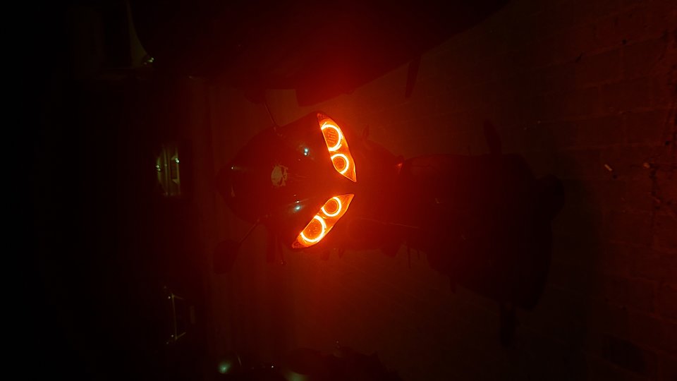 20230710_003647.jpg - michalsefirot