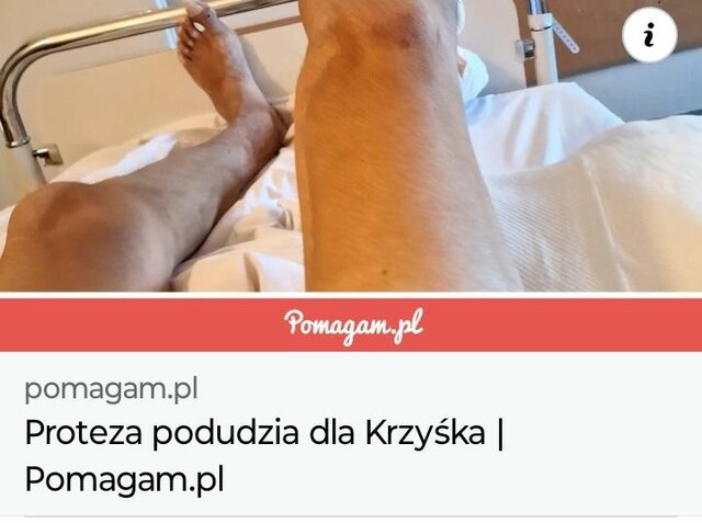 Pilnie potrzebna pomoc♥️ - Anastasia37