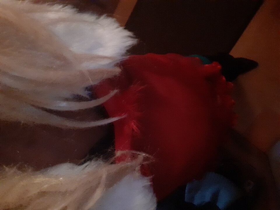 20240123_113558.jpg - Aktcrossdres