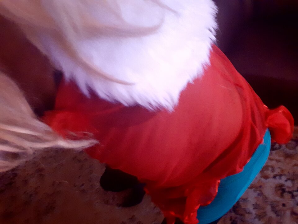 20240123_113358.jpg - Aktcrossdres