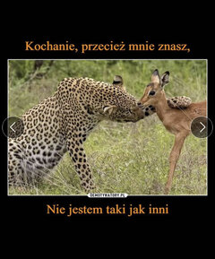 IMG_8080.jpeg