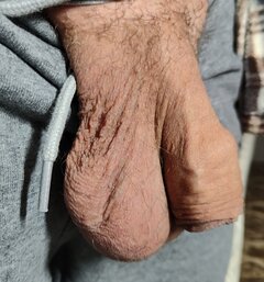 1000012778.jpg