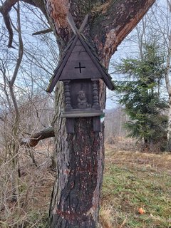 IMG_20240126_102049.jpg