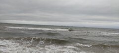 IMG_20240127_115823.jpg