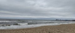 IMG_20240127_115806.jpg