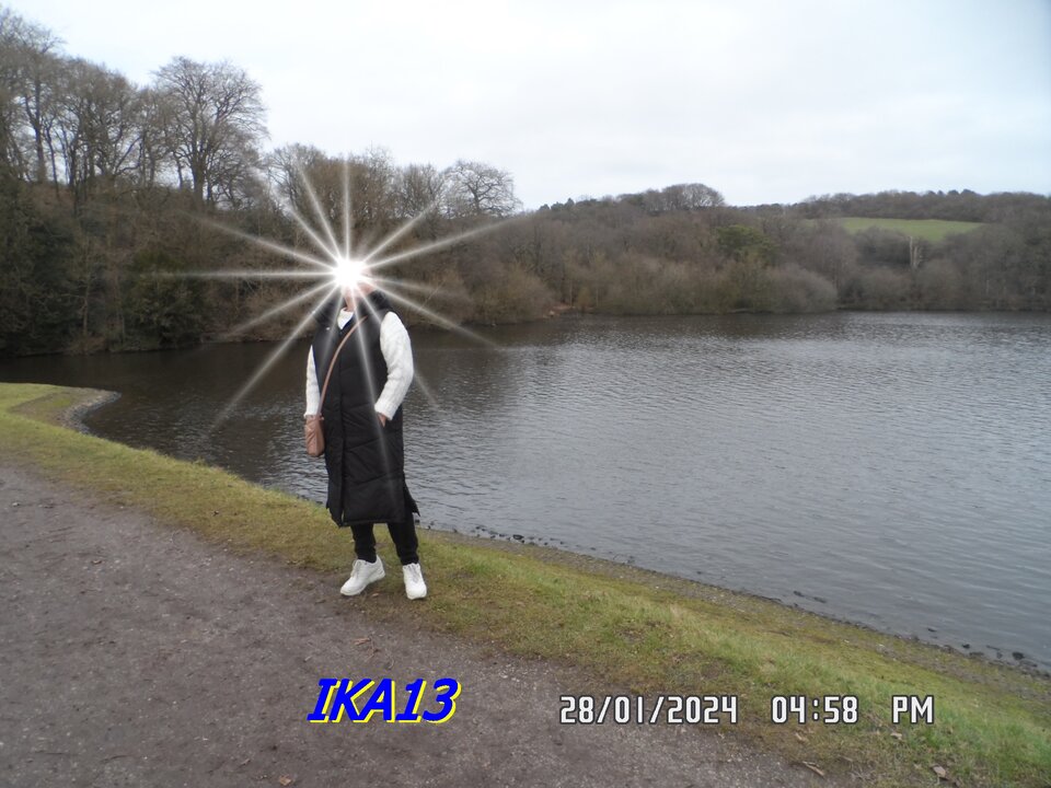 SAM_1831.JPG - ika13