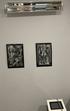 IMG_9865.jpeg
