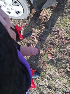 IMG_20240129_100802.jpg