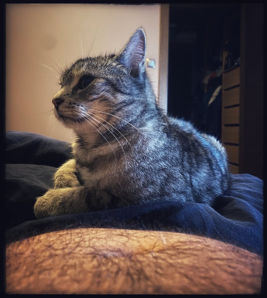 😻 - serialowapara19782