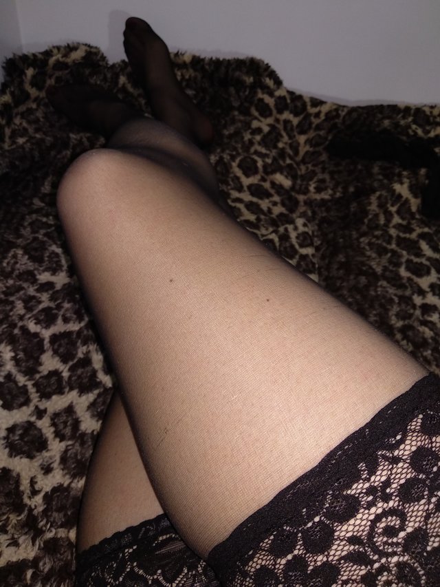 D_a_r_i_a