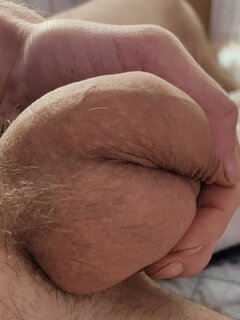 IMG_20240202_080408.jpg
