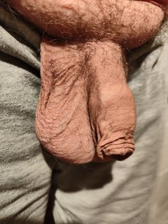 1000013176.jpg