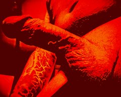 Picsart_23-03-17_15-55-25-574.jpg