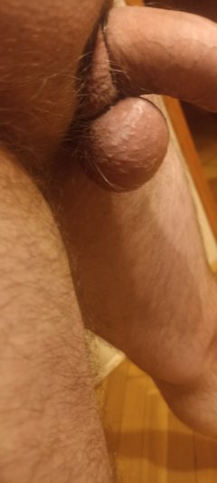 IMG_20240204_194136.jpg