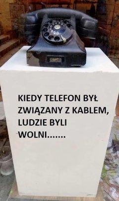 Jpg6976