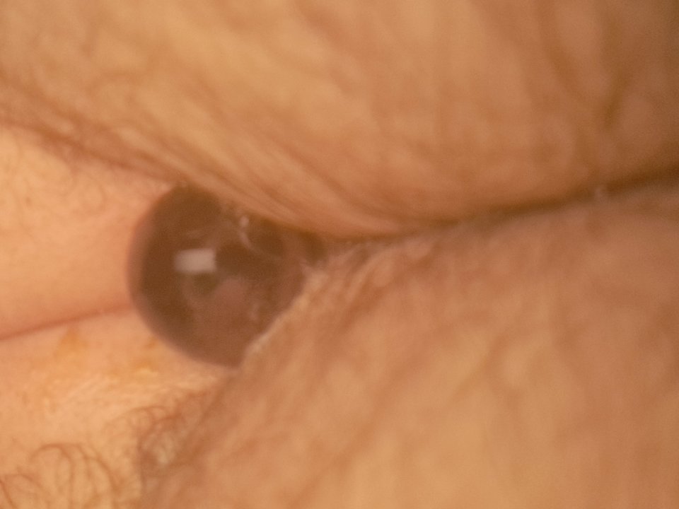 1000015874.jpg - rafal1410