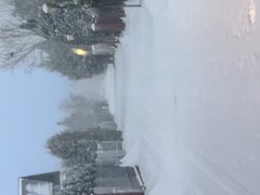 IMG_2870.jpeg