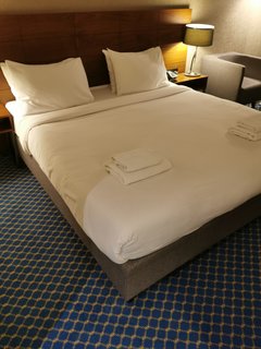 IMG_20240208_174254.jpg