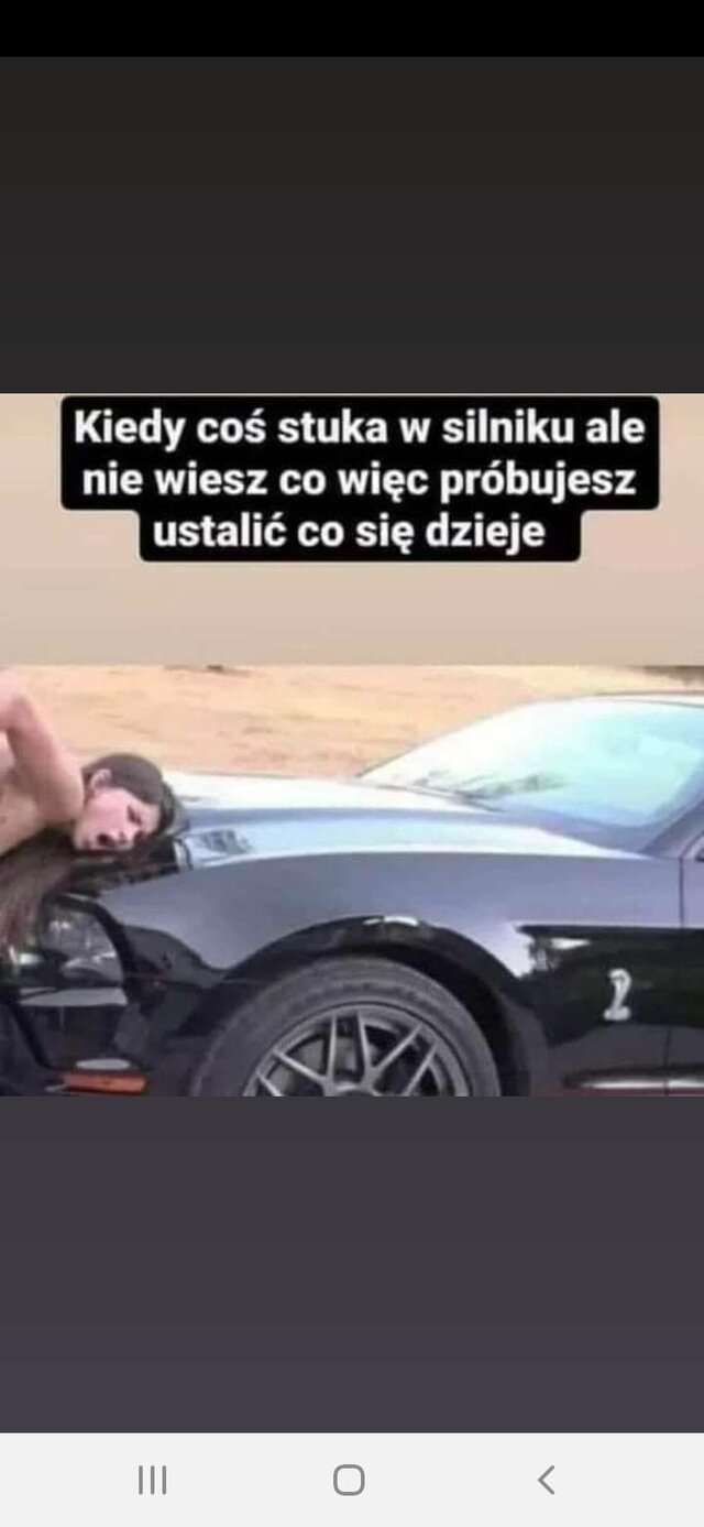 Zimnydrnan95