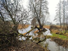 IMG_20240211_114618618~3.jpg