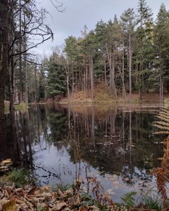 20240212_190528.jpg