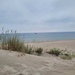 20230826_122231.jpg