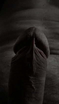 z.jpg