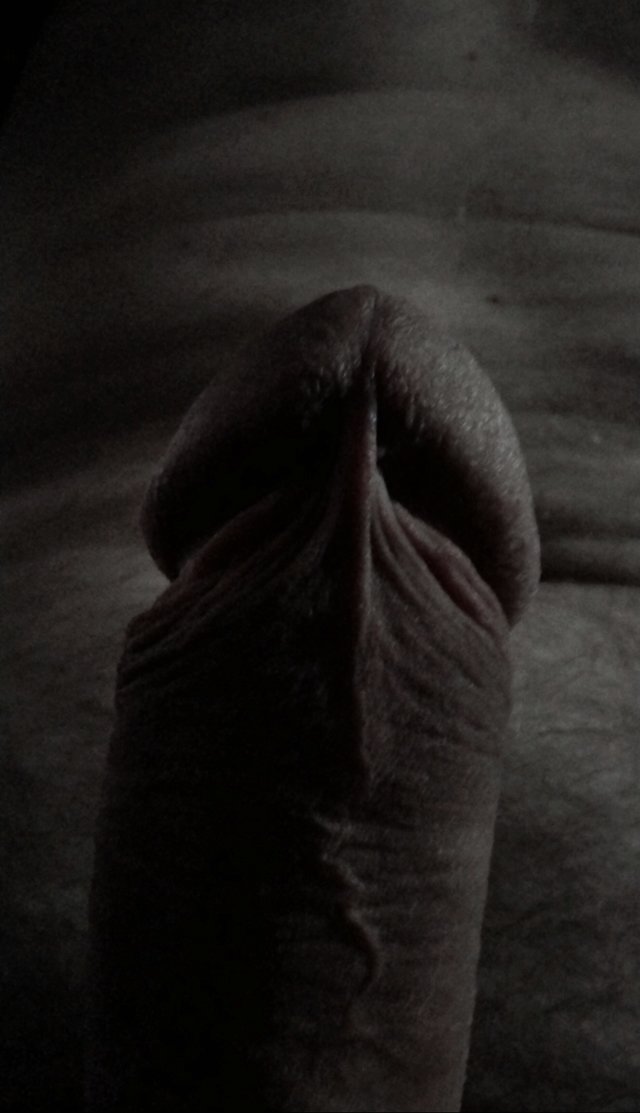 zjawa4