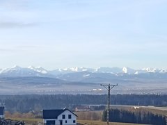 IMG_20240214_074930.jpg