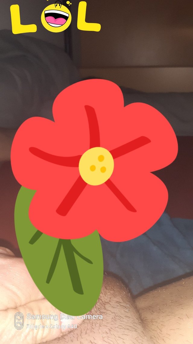 SingilMinetka6666