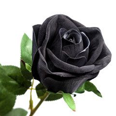 pol_pl_roza-czarna-BLACK-IMITATION-ROSE-15715_2.jpg