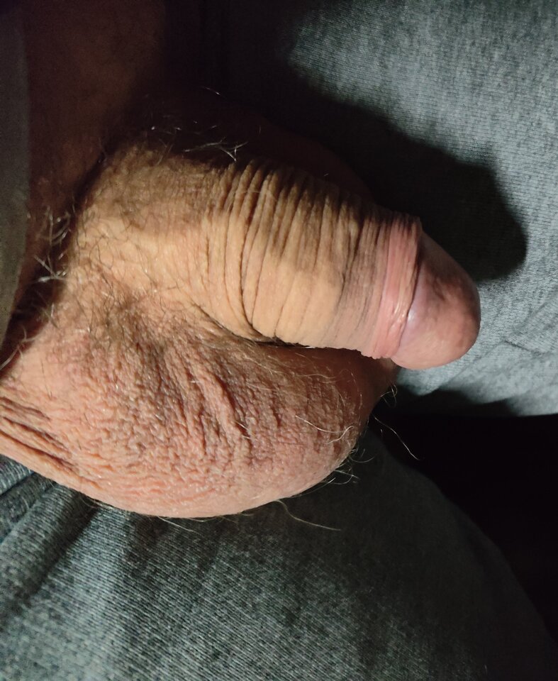 1000013554.jpg - jogan