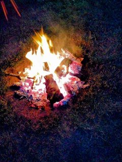 IMG-20230729-WA0011~2.jpeg