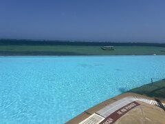 IMG_5345.jpeg