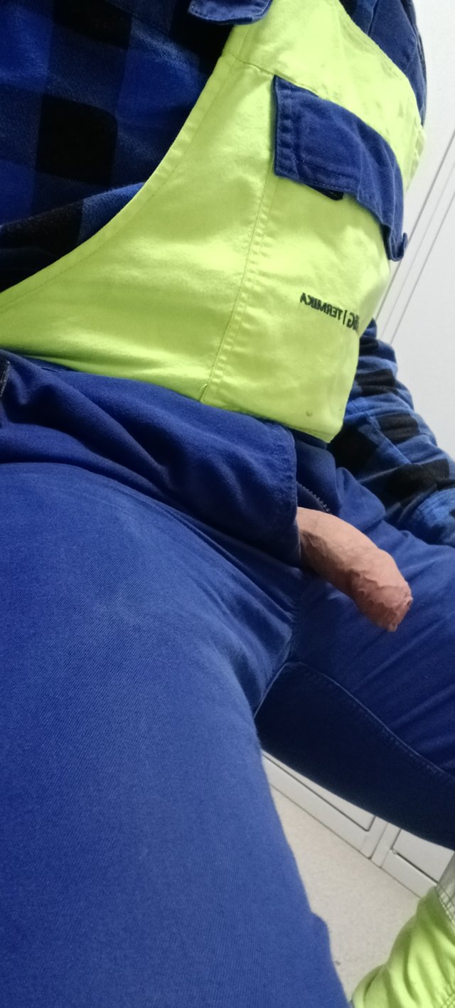 Menelaon