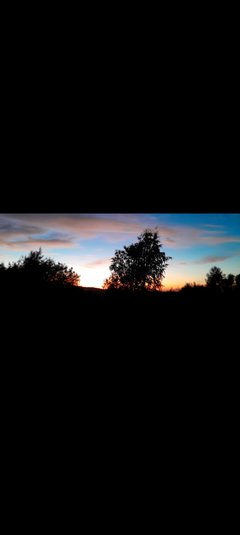 Screenshot_20240223_201213_Gallery.jpg